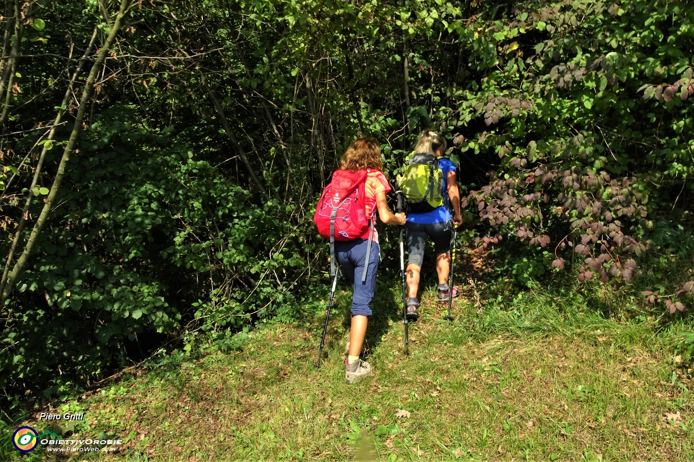 18 Rientriamo sul sentiero che sale nel bosco.JPG